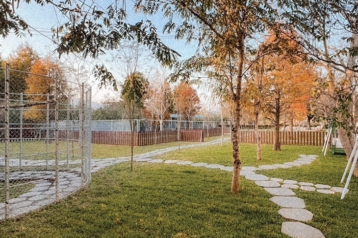 南投埔里-水与松萌萌園