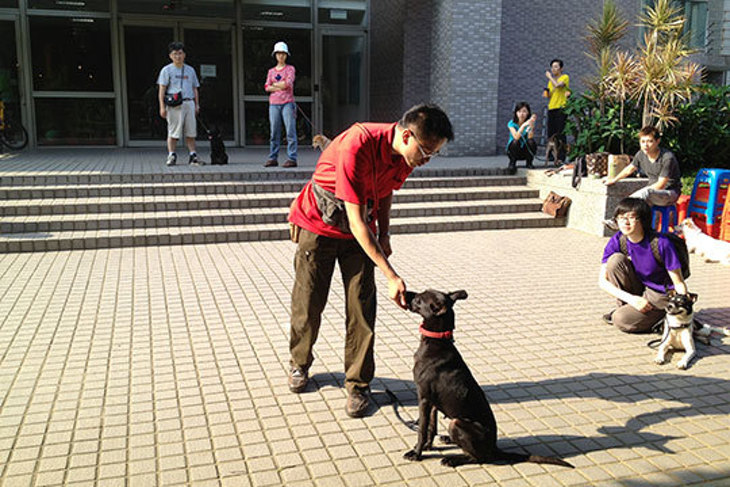 一起夢想-大桃園浪浪樂活飽餐計畫