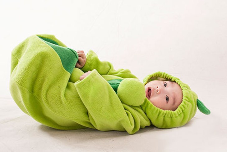 飛魚影像美術館