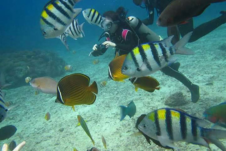 貢寮-長安潛水俱樂部