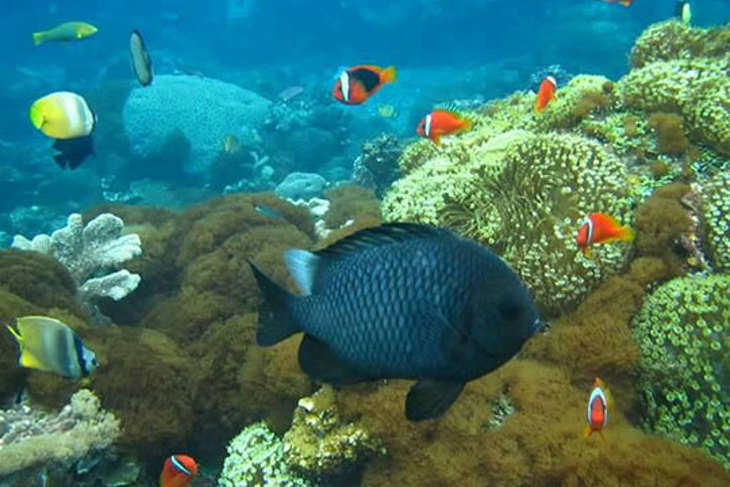 貢寮-長安潛水俱樂部