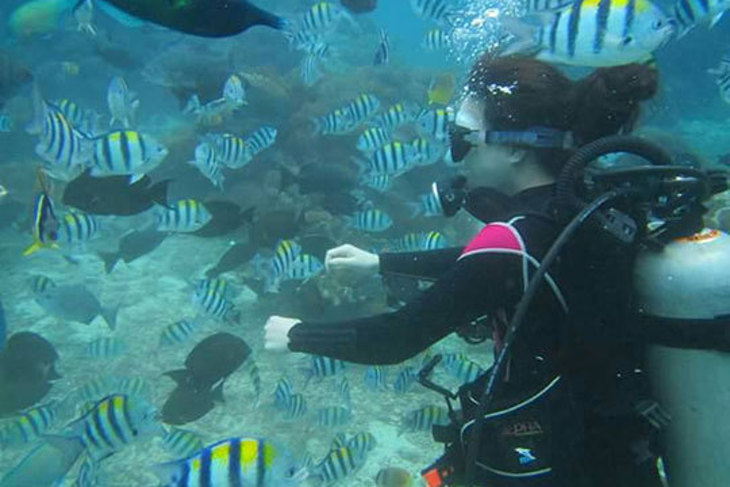 貢寮-長安潛水俱樂部