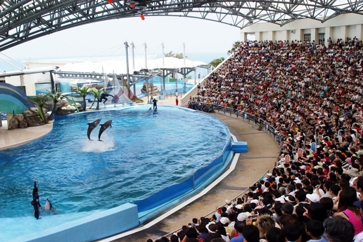 花蓮-遠雄海洋公園