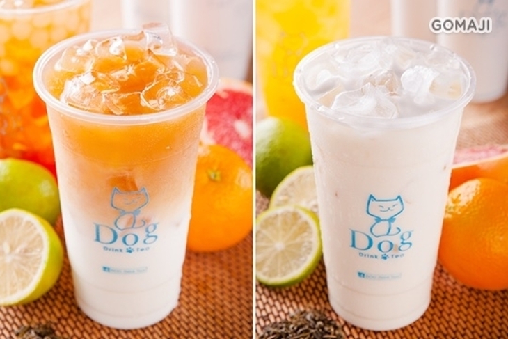Dog Drink Tea