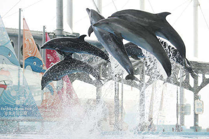 花蓮-遠雄海洋公園