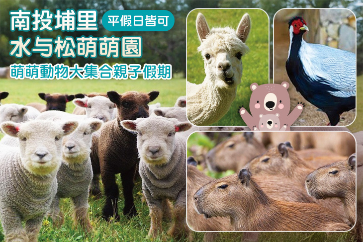 南投埔里-水与松萌萌園