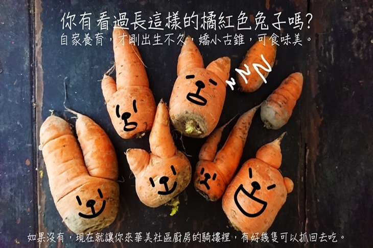 一起夢想－剩食變盛食