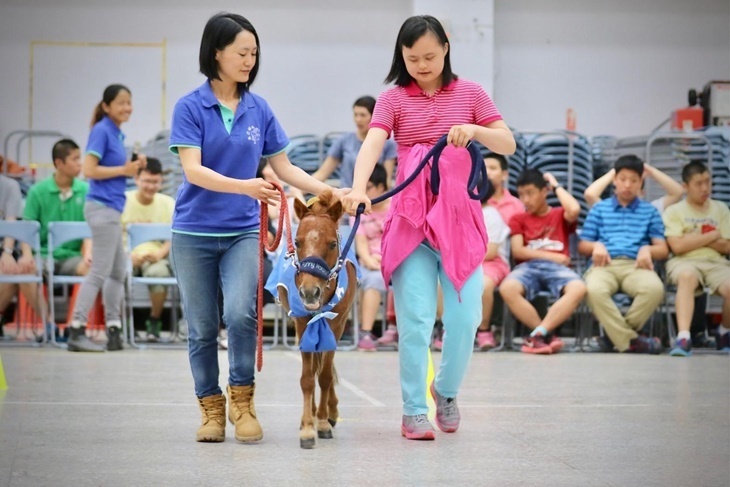 花蓮偏鄉慢飛天使馬匹輔助療育計畫