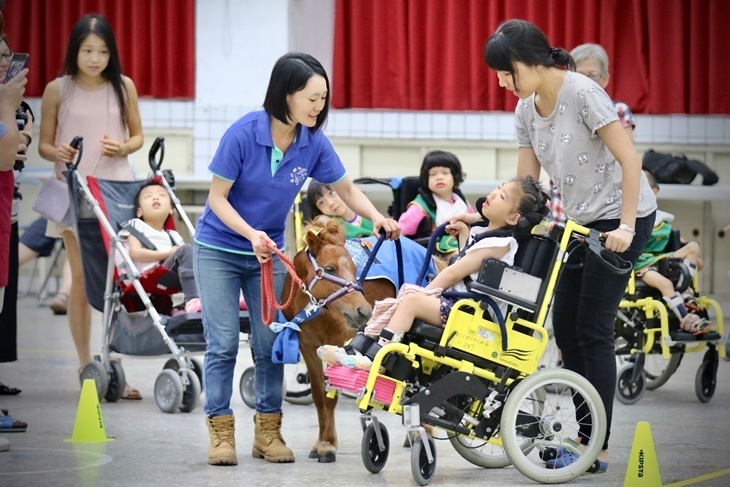 花蓮偏鄉慢飛天使馬匹輔助療育計畫