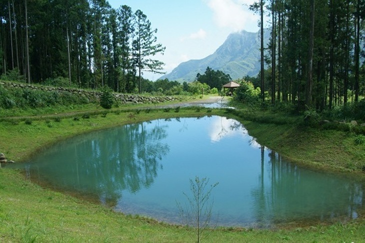溪頭自然教育園區(溪頭教育中心-銀杏樓)