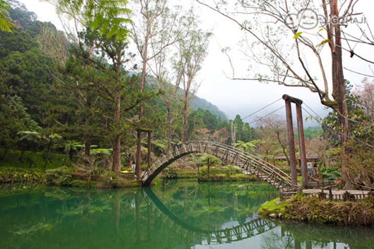 溪頭自然教育園區(溪頭教育中心-銀杏樓)
