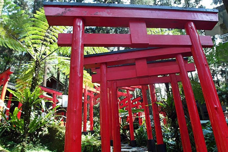 溪頭x妖怪村一日遊專案