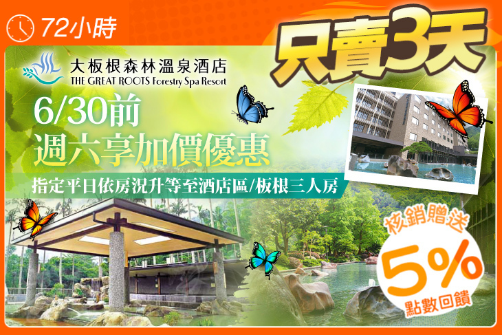 大板根森林溫泉酒店 大板根森林溫泉酒店