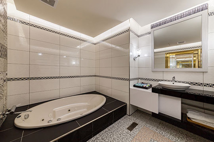 桃園-蘇活商務汽車旅館