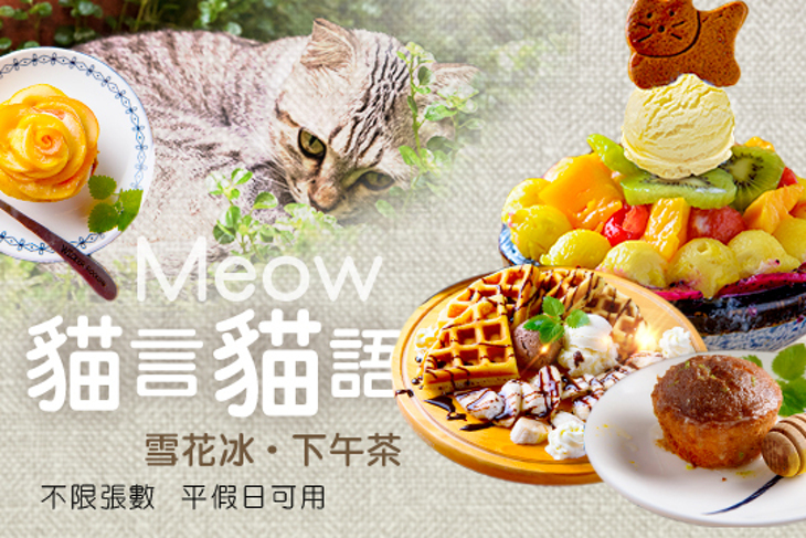 貓言貓語雪花冰下午茶