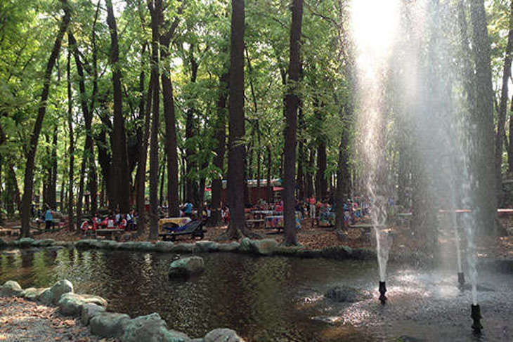 屏東-8大森林樂園