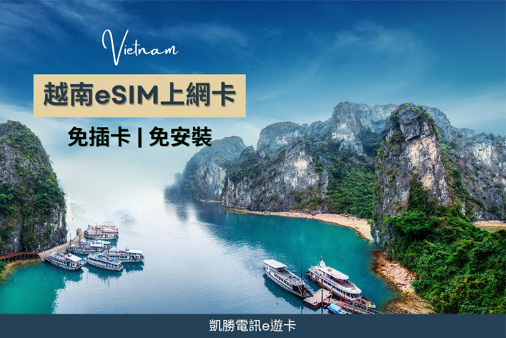 越南eSIM上網卡