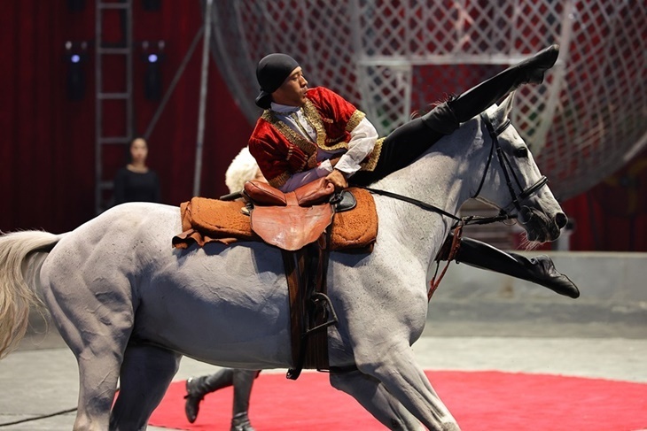 美洲瘋馬大馬戲團