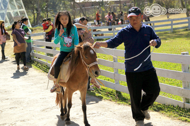 大溪-富田花園農場