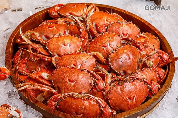 典華豐FOOD 海陸百匯吃到飽