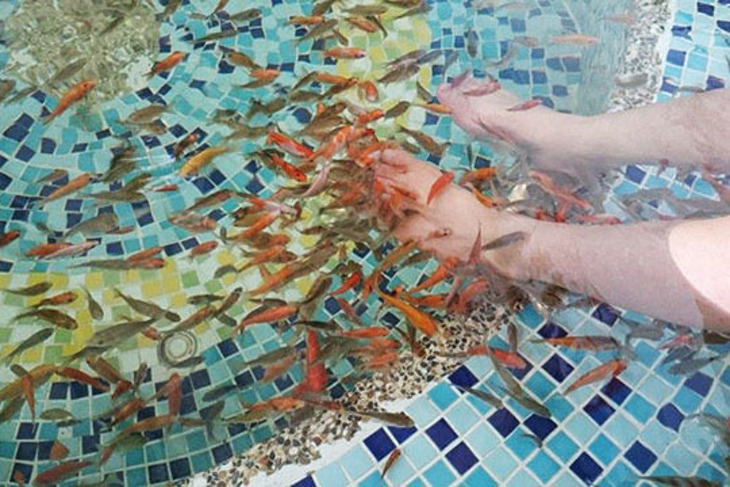 大新店親水樂園