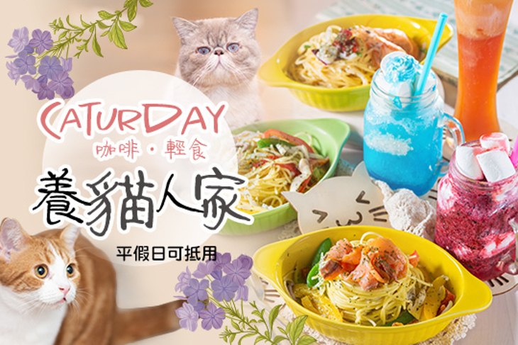 養貓人家