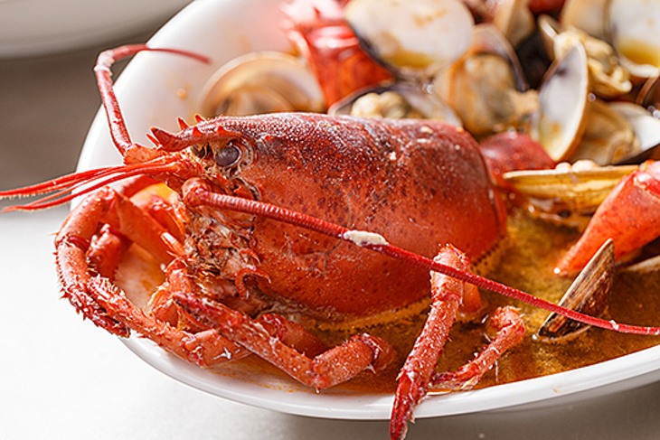 BOCCA di ROYAL 波卡義式私房料理