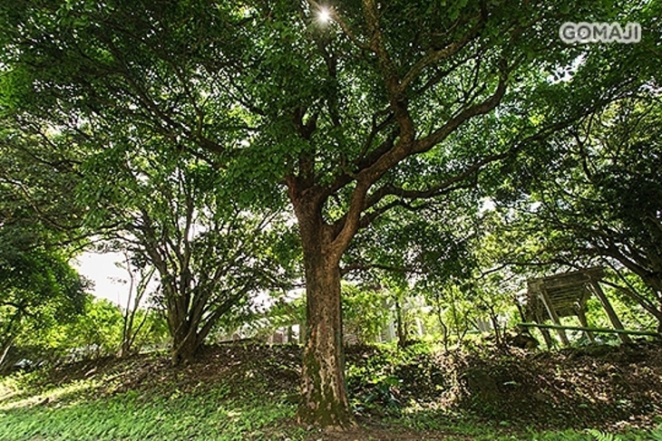 陽明山菁山遊憩區