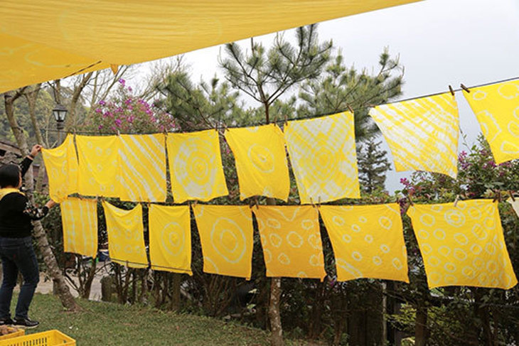 苗栗大湖-鍾鼎山林