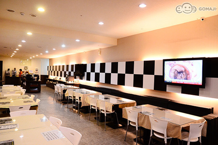 台北-高絲旅時尚旅館(漢口館)