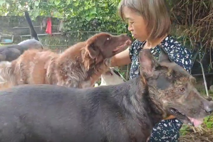 一起夢想－浪浪不再流浪