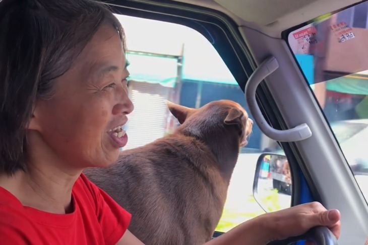 一起夢想－浪浪不再流浪