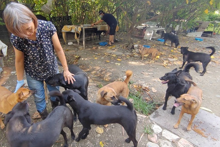 一起夢想－浪浪不再流浪