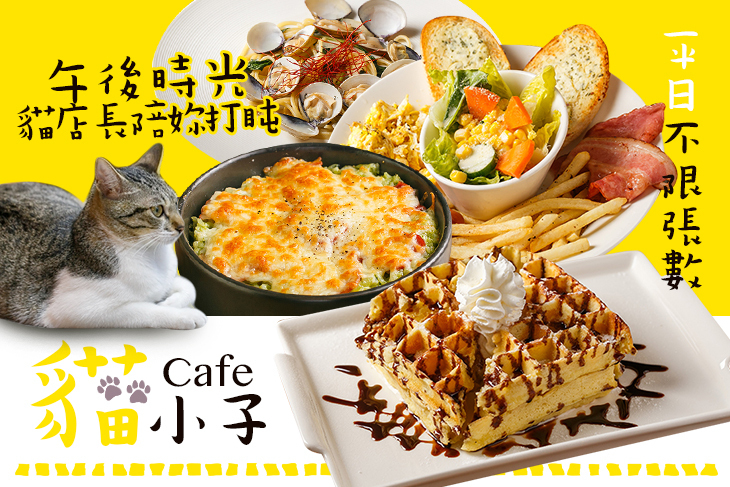 貓小子cafe