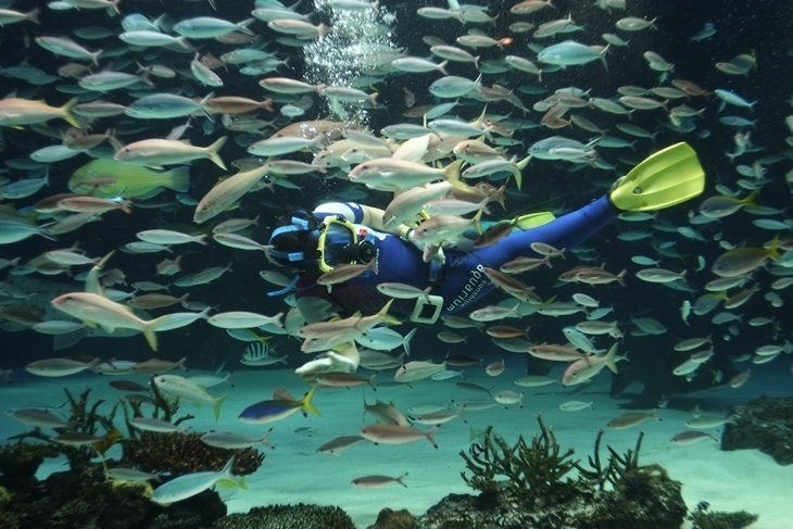 東京池袋太陽城《陽光水族館SunShine Aquarium》門票