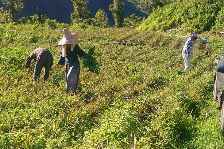 一起夢想－「戒」我雙手，不再孤「毒」