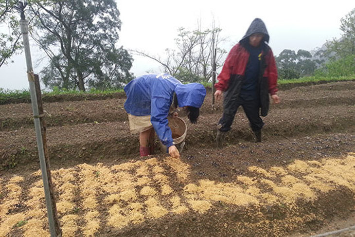 一起夢想－少年Pi的種菜旅程