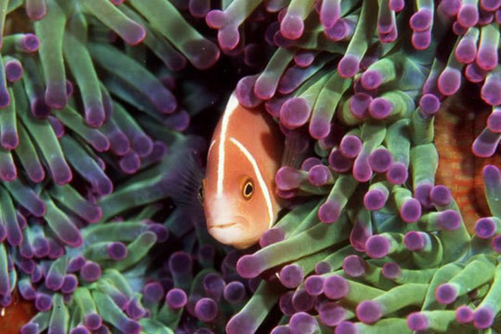 台東海洋夢想館
