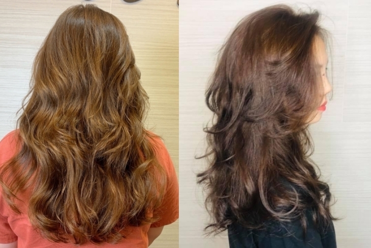 TC Hair 三原色髮型