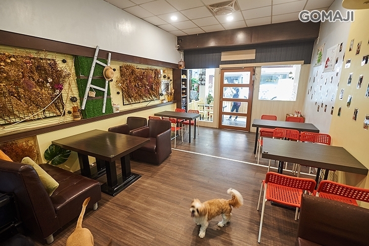 米克斯寵物友善餐廳