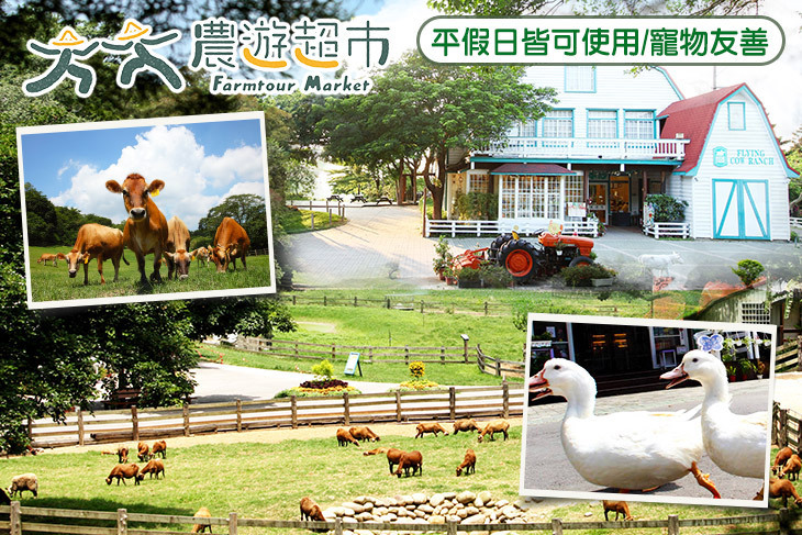 【夠麻吉X農遊超市】苗栗飛牛牧場