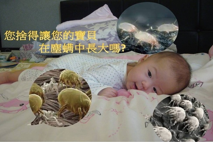 Smile好生活專業管家服務