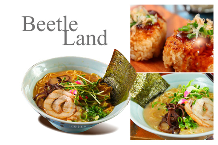 Beetle Land