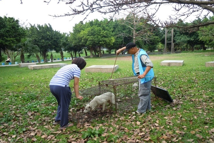 一起夢想－讓台灣動物不再流浪