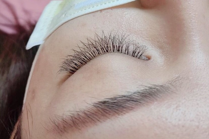 BEST SALON & Eyelash