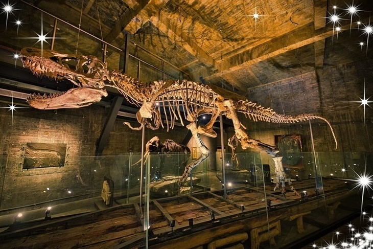 蘇澳-Robert Y廢墟羅浮宮 暴龍館