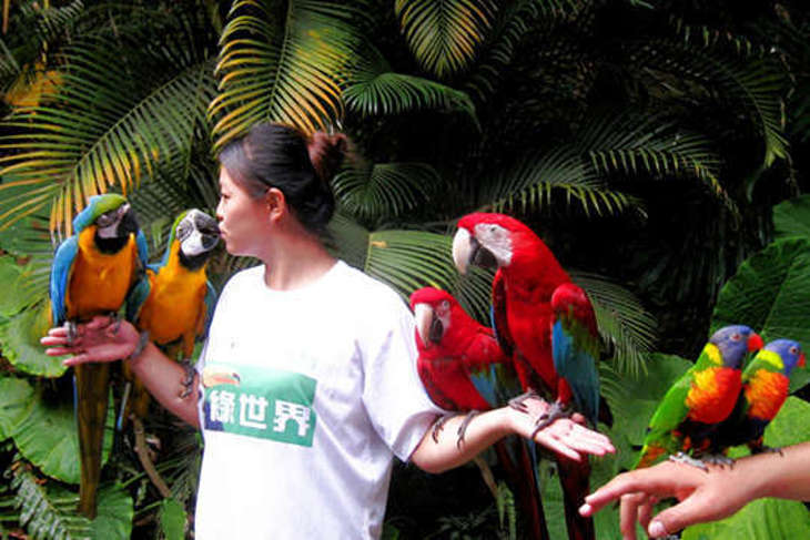 新竹-綠世界生態農場