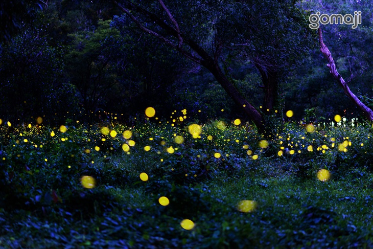 新竹-威尼斯內灣溫泉會館