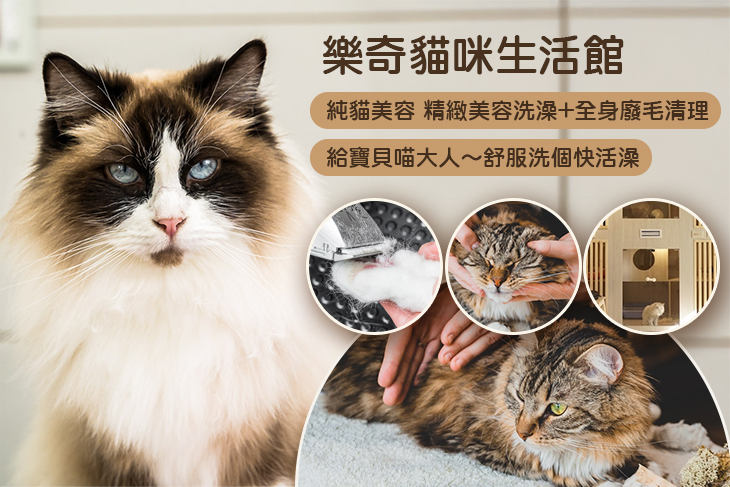 樂奇貓咪生活館