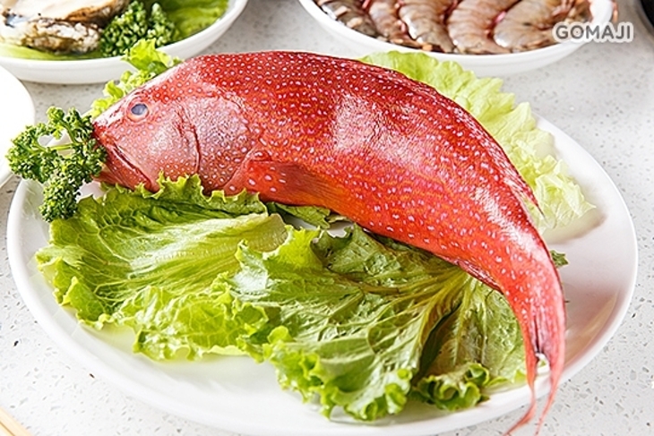 蒸霸天下